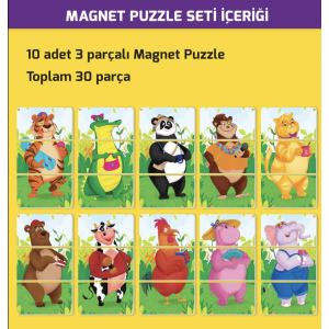 2+ Yaş Magnet Puzzle Dikkat Geliştiren Zeka Oyunu
